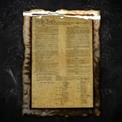 AMD American Liquid Metal - Constitution Sign Signs