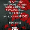 Ohio Poppy Poster