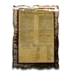 AMD American Liquid Metal - Constitution Sign Signs