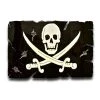 AMD American Liquid Metal - Jolly Roger Pirate Flag Sign The Black Flag