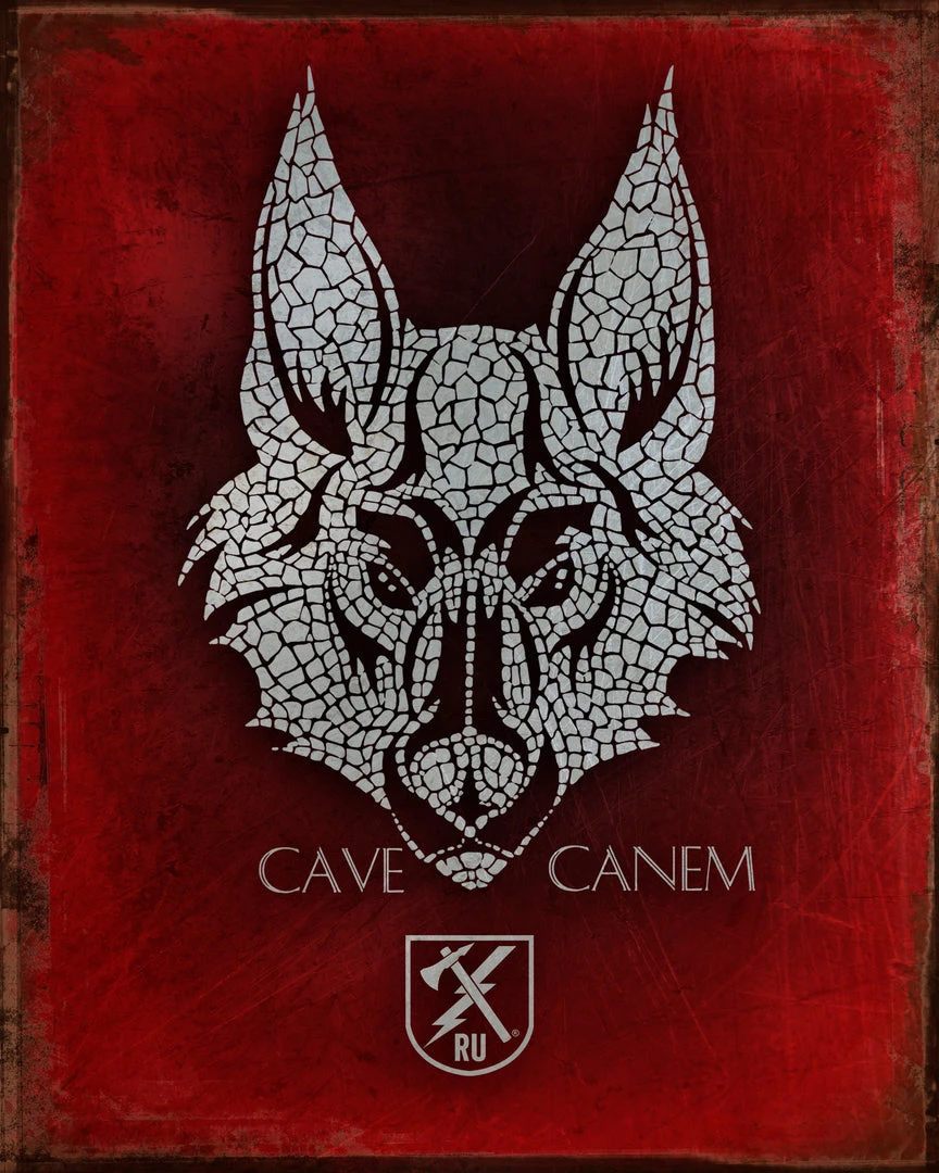 PTS Cave Canem Vintage Tin Sign Signs 3 PTS Cave Canem Vintage Tin Sign Signs