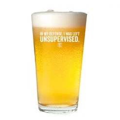 Ohio Unsupervised Pint Glass Whisky & Bad Decisions